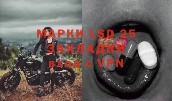 Альфа ПВП Дмитров