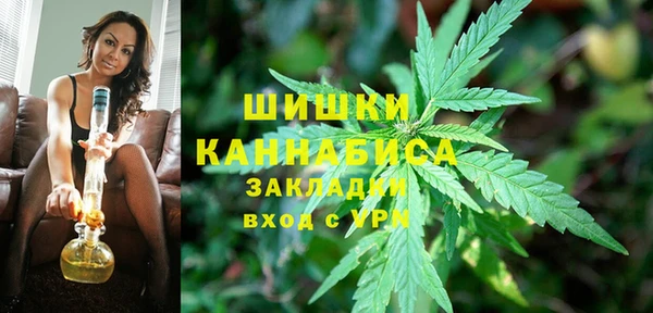 apvp Горнозаводск