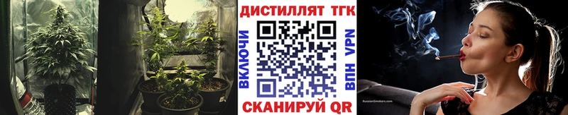 ТГК Wax Данилов