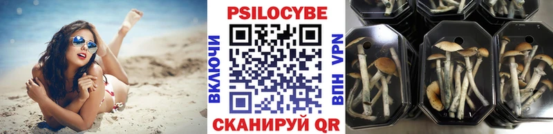 Галлюциногенные грибы Cubensis  Данилов 